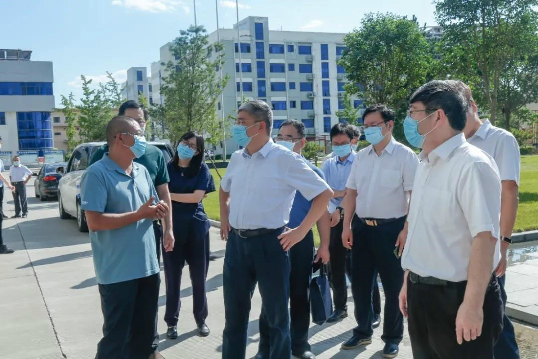 商务部自贸区港司向导莅临彩神药业考察调研